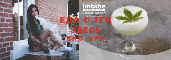 индика Медногорск