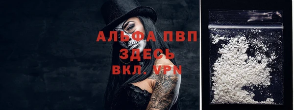 индика Медногорск