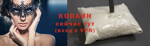 хмурый Инсар