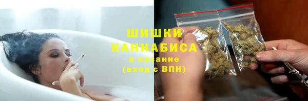 хмурый Инсар