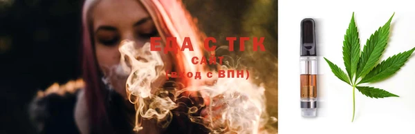 индика Медногорск