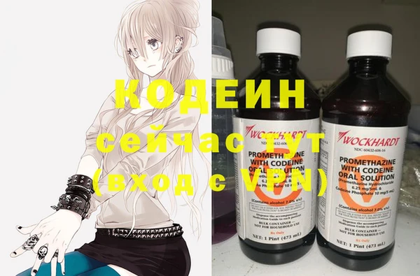 хмурый Инсар