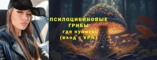 a pvp Инта