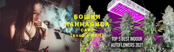 хмурый Инсар