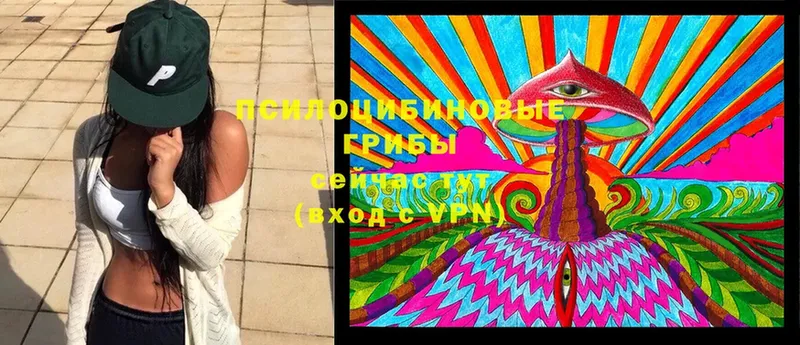 где найти   маркетплейс наркотические препараты  Псилоцибиновые грибы MAGIC MUSHROOMS  Усть-Илимск 
