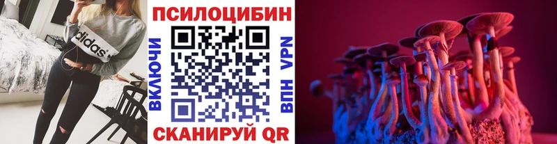Галлюциногенные грибы мицелий  Усть-Илимск 