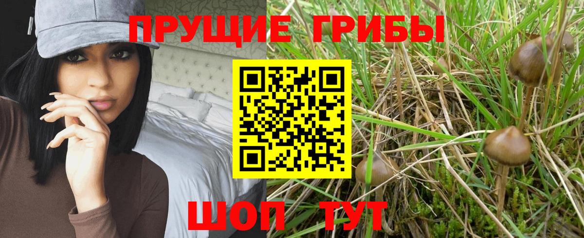 Псилоцибиновые грибы мухоморы  где купить наркоту  Псилоцибиновые грибы прущие грибы  Усть-Илимск  Вход с VPN 