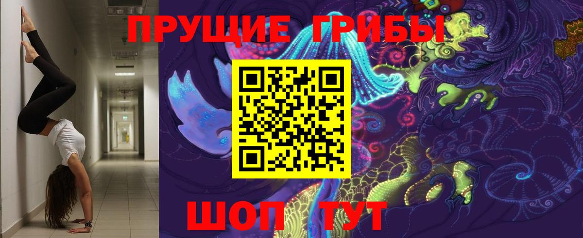 Галлюциногенные грибы GOLDEN TEACHER Усть-Илимск